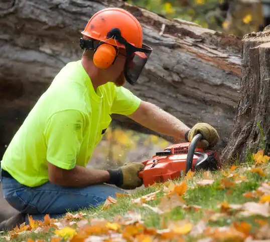 tree services Stateline